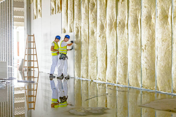 Best Insulation for Specific Applications in Vicksburg, MS